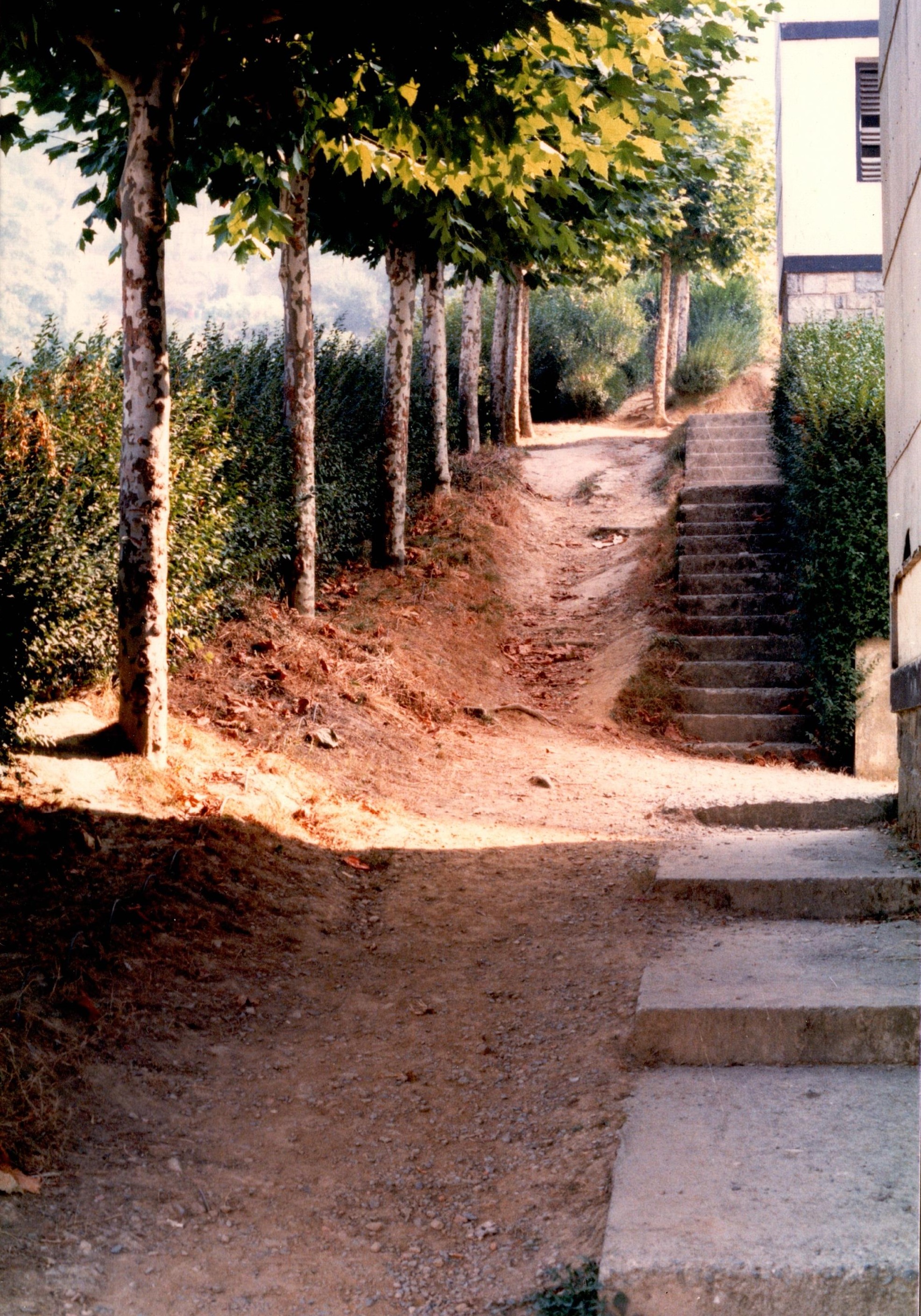 Se muestra a la izquierda una rampa en condiciones regulares, con raíces de los árboles y sin acondicionar para un uso adecuado por parte de los peatones. A la derecha hay tramos de escaleras sin barandillas y viviendas. A la izquierda hay arbustos y arboles. La rampa no es de piedra, es de barro. 