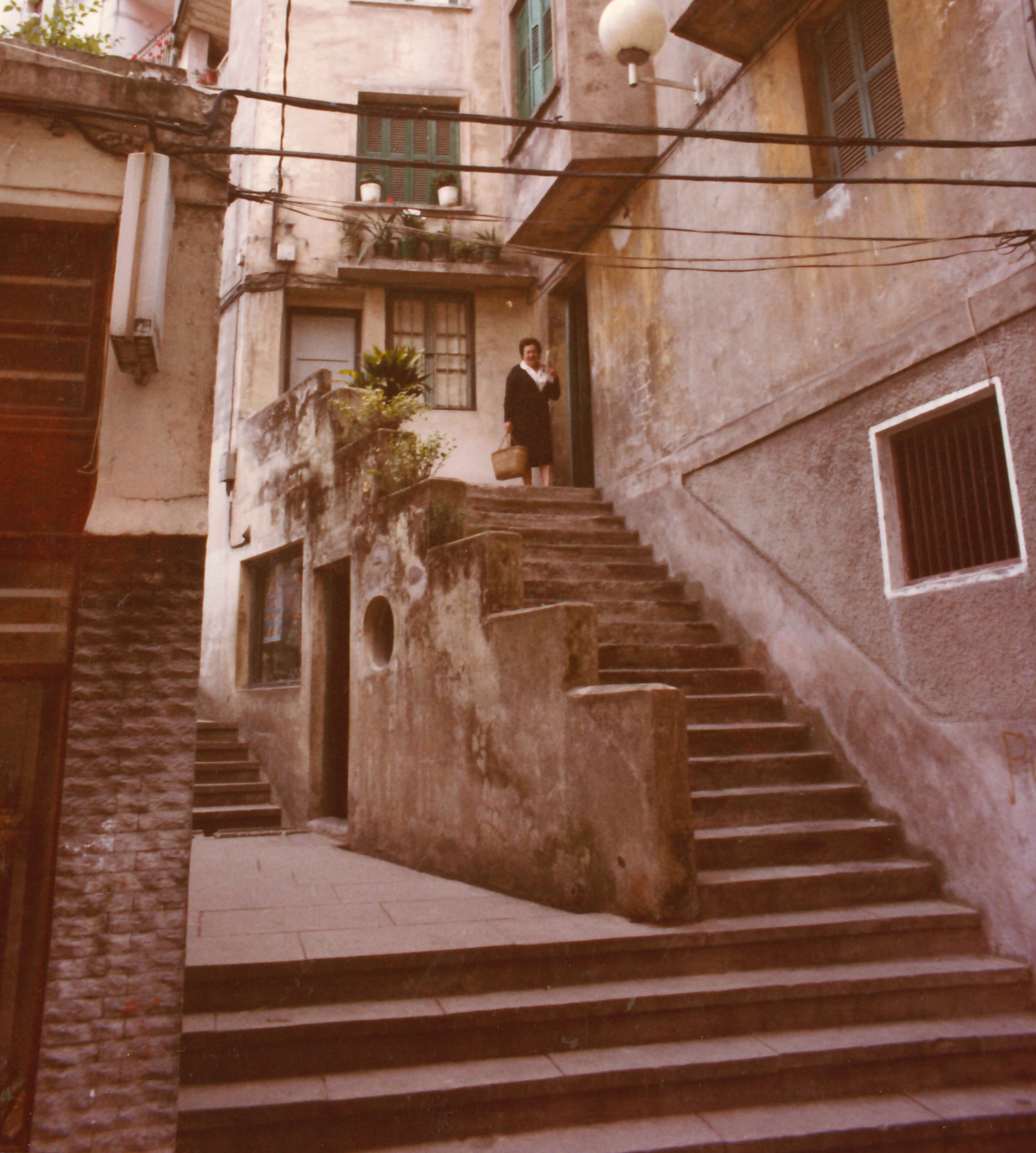 Elexoste (en la calle Erdikokale, antigua Artecalle). Elexoste (Erdikokale kalean, antzinako Artekale).