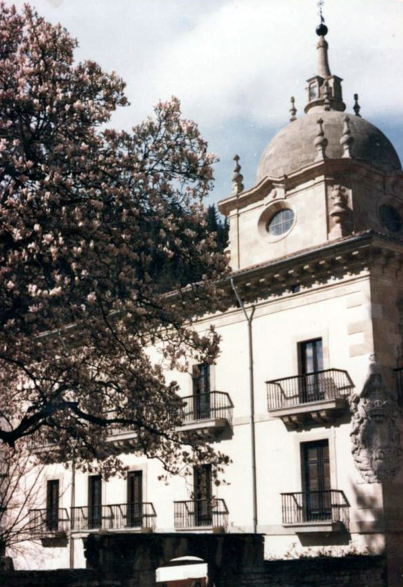 Palacio de Valdespina y el árbol de los Pispillos
