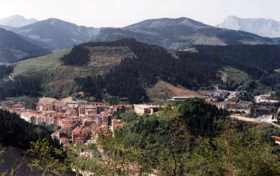 Vista de Ermua con el monte Ureta en primer termino