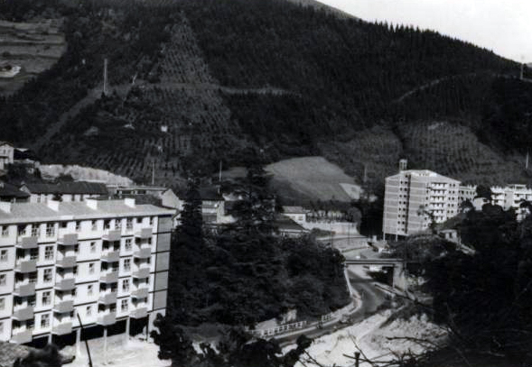 Vista de Ermua desde Beti-Ondo con Egoarbitza al fondo Vista de Ermua desde Beti-Ondo con Egoarbitza al fondo