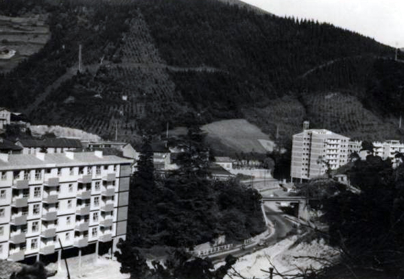 Vista de Ermua desde Beti-Ondo con Egoarbitza al fondo