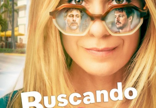 Cartel de la película Buscando a Coque