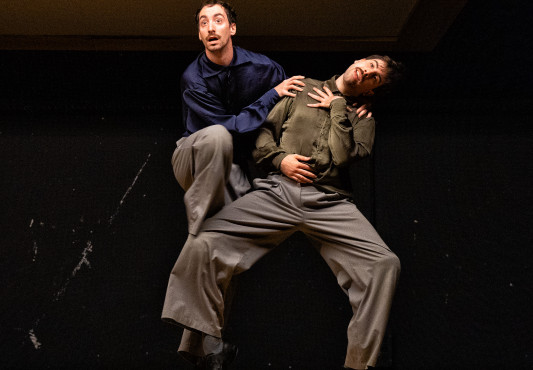 "Los perros" dantza ikuskizuna Ermua Antzokian | El espectáculo de danza "Los perros" en Ermua Antzokia