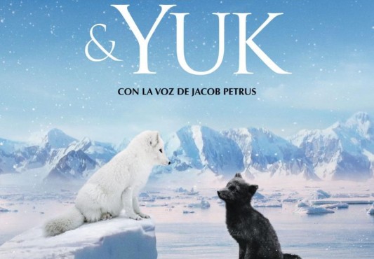 Cartel de la película