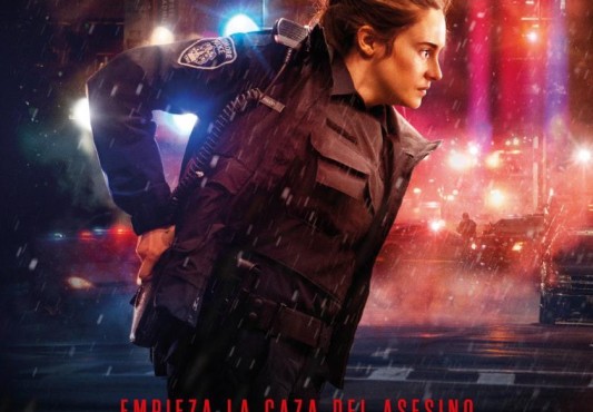 Cartel de la película Misántropo