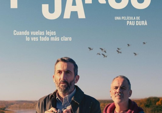 Cartel de la película Pájaros