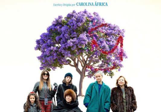 Verano en diciembre filmaren kartela