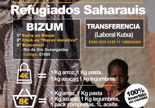 Cartel anunciador de la campaña