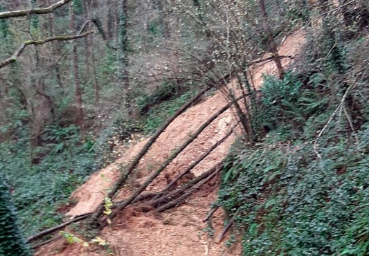 Corrimiento de tierras en el sendero peatonal