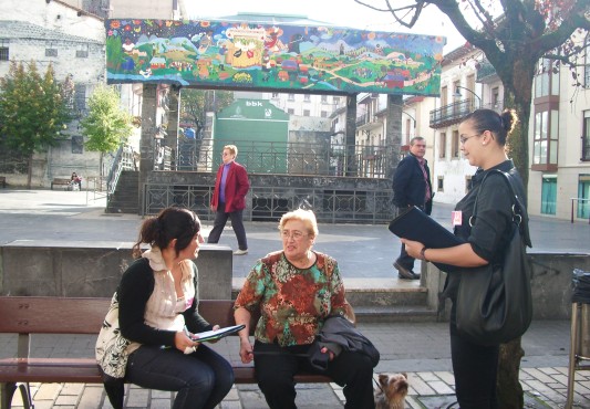 Encuestas sobre Comercio Ermua 2009