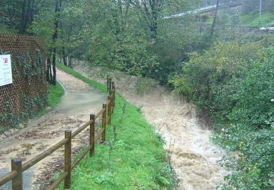 Incidencias por viento y lluvias en Ermua