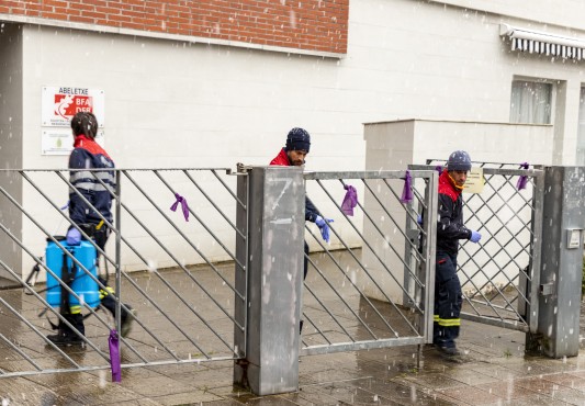 Llegada del equipo a la residencia