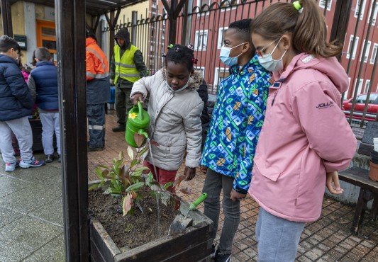 Nuevas plantas en el colegio San Lorenzo