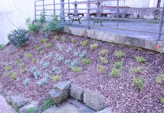 Plantación de flores y arbustos en los jardines situados junto a Torreta Etxea