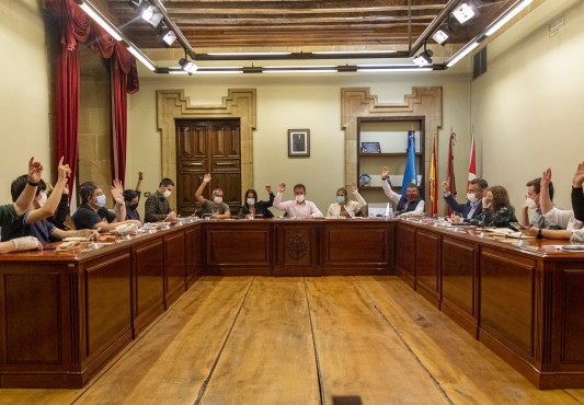 Pleno ordinario de octubre