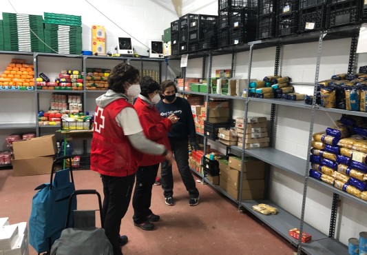 Recuento e inventario del género