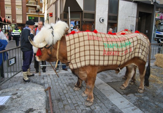San Martin azoka 2009