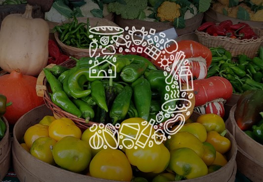 Una foto promocional de la web