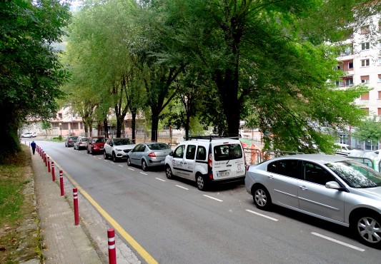 Vista de los árboles desde arriba