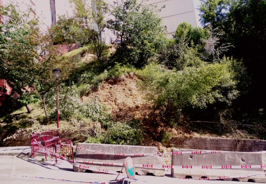 Vista detalle de la zona