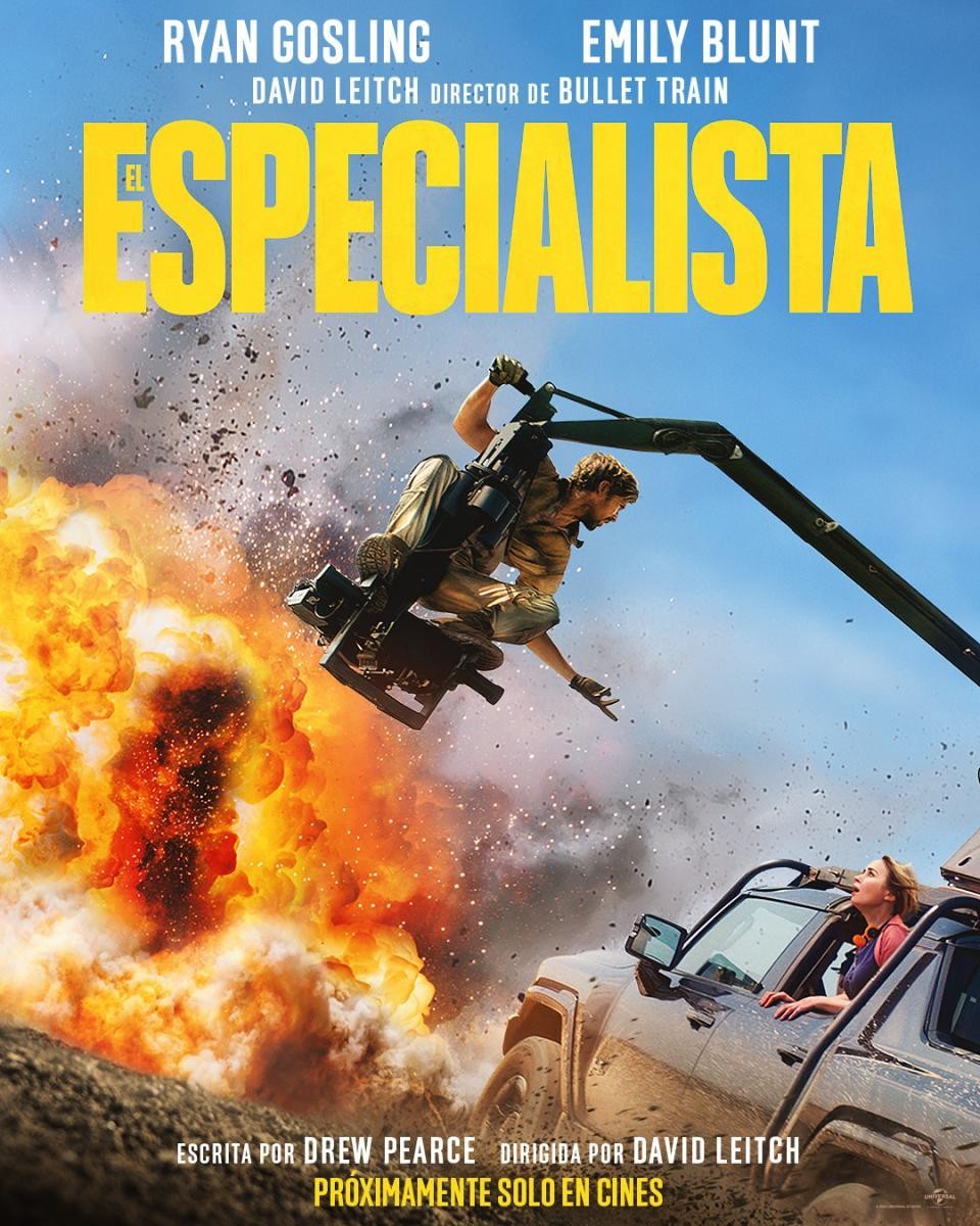 Cartel de la película El Especialista