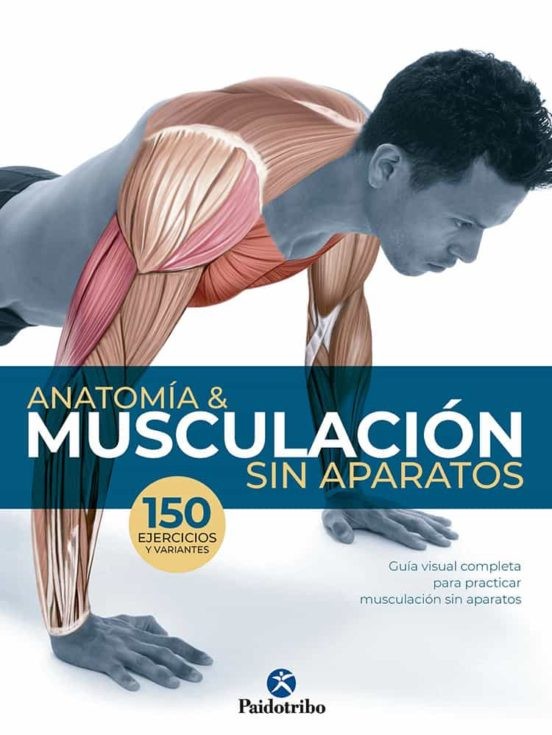 Anatomia_Layer