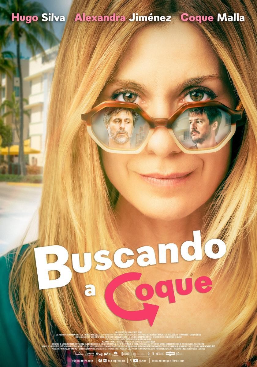 Cartel de la película Buscando a Coque