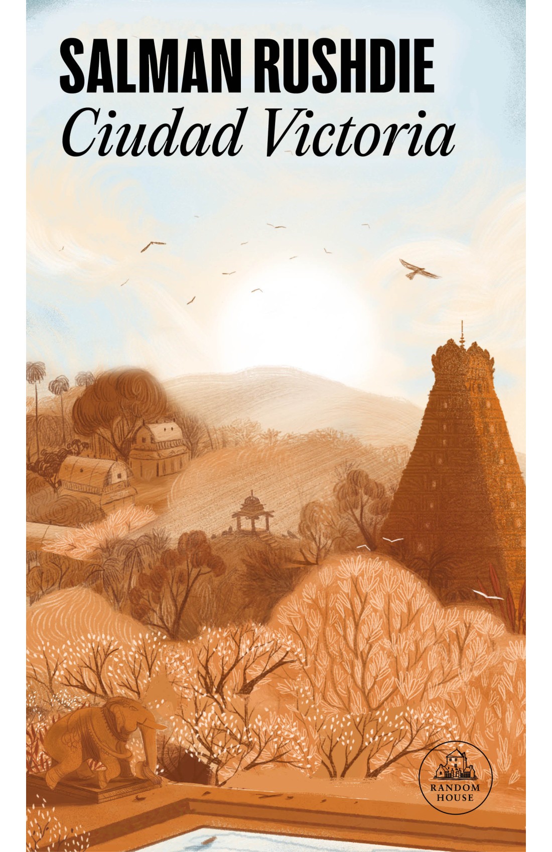 CiudadVictoria_Layer