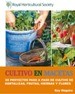 Cultivoweb_30_09_2016_13_45_43.jpg Cultivoweb_30_09_2016_13_45_43.jpg