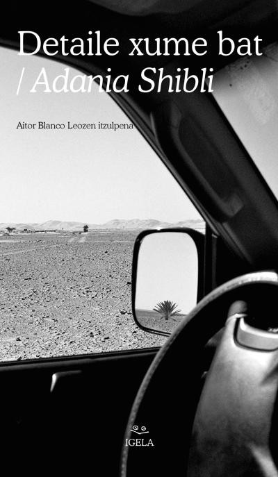 Detaile xume bat liburuaren azala