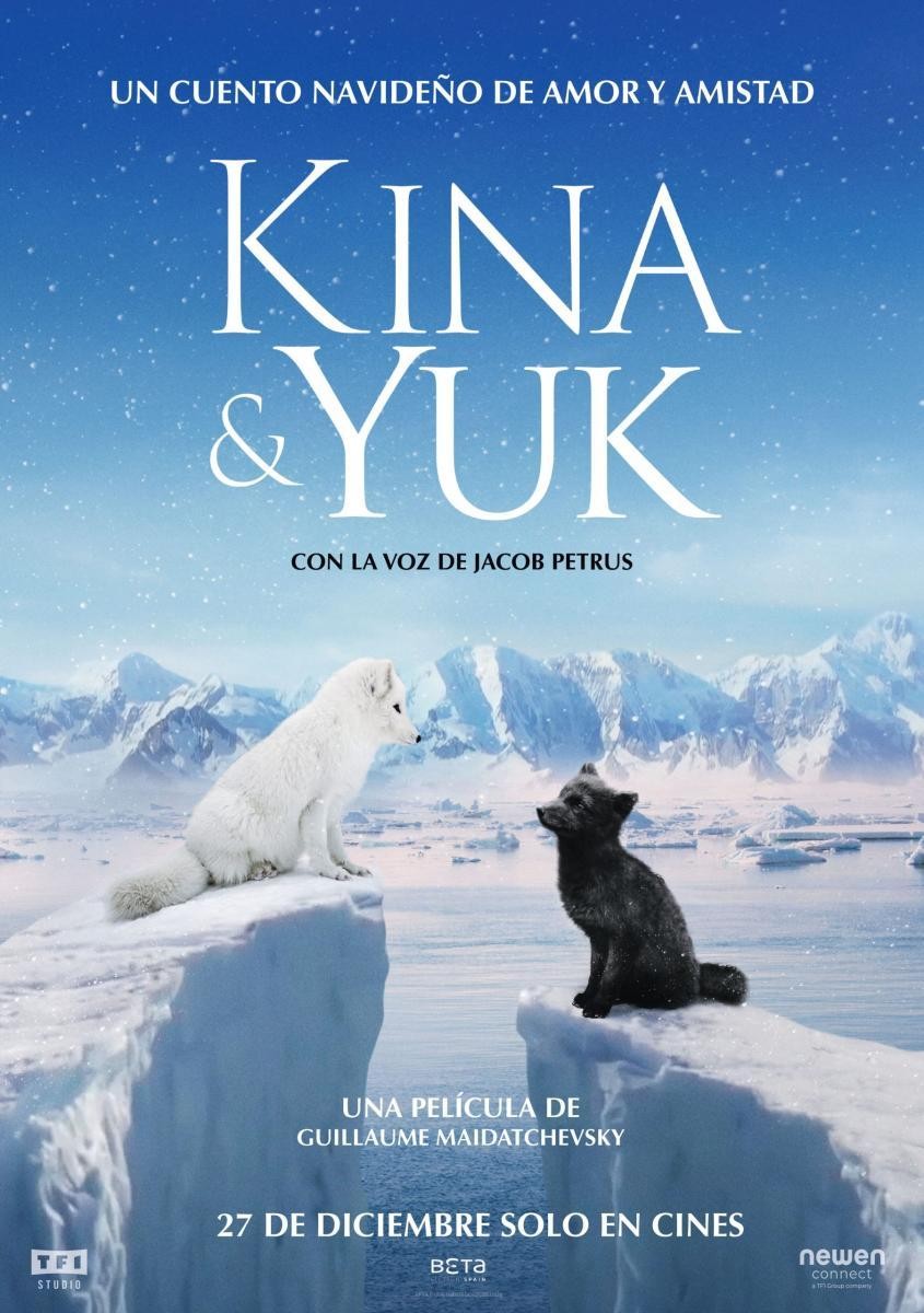 Filmaren kartela