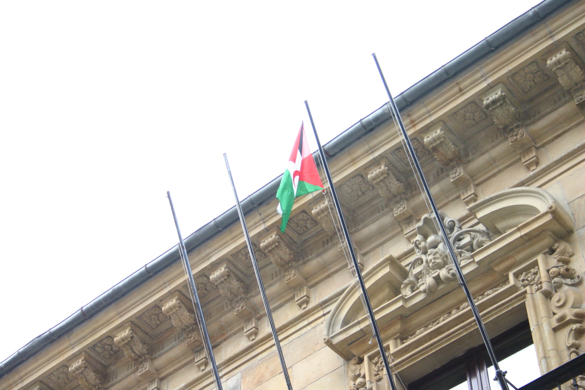 Bandera de RASD