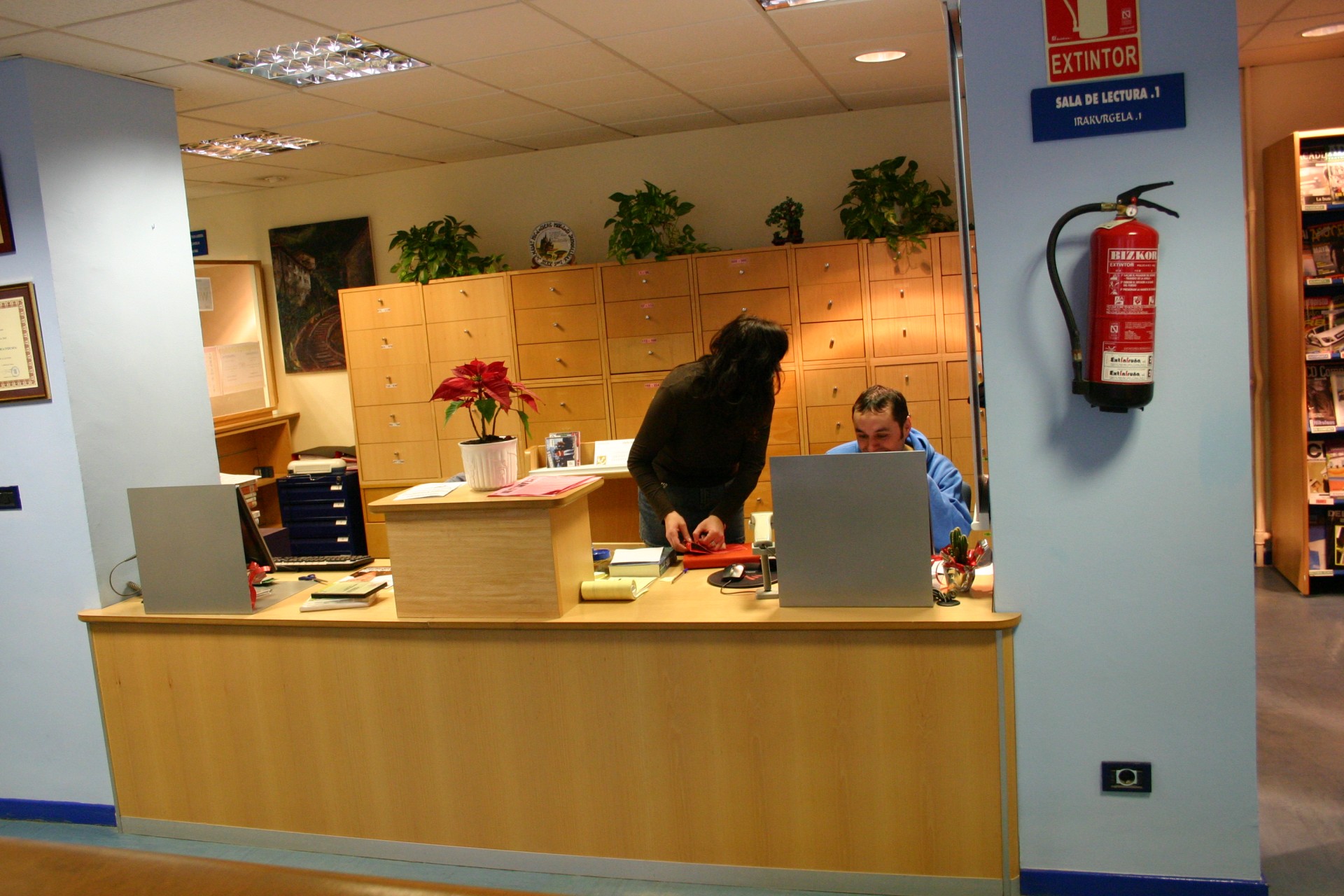 Biblioteca nueva. Mostrador