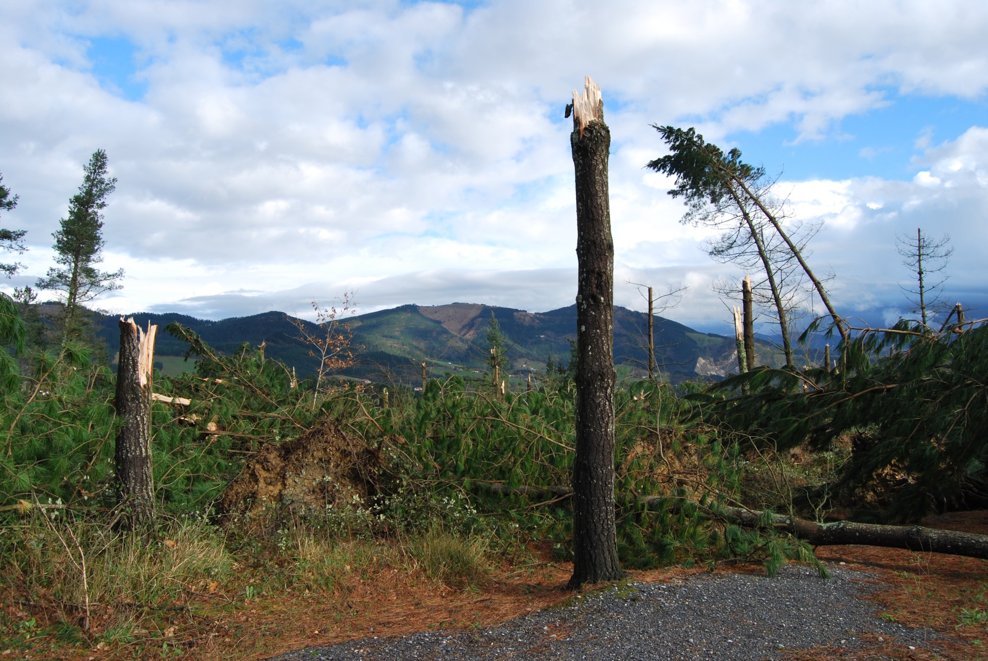 Ciclón (Fenómenos climatológicos)