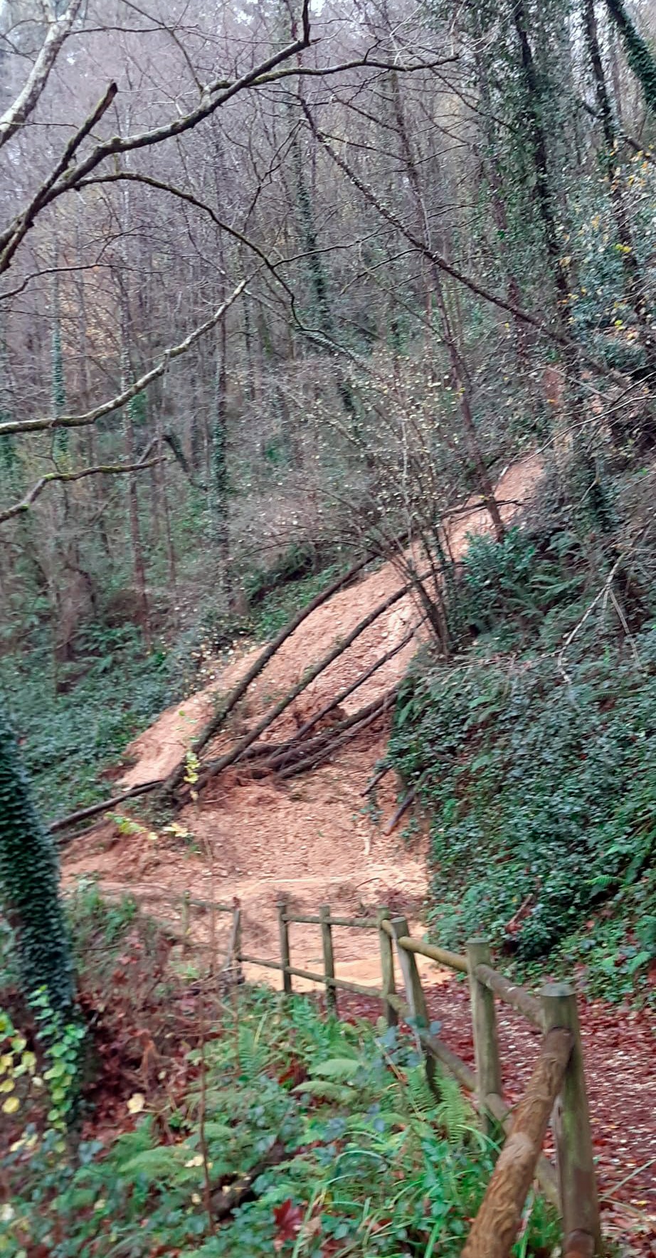 Corrimiento de tierras en el sendero peatonal