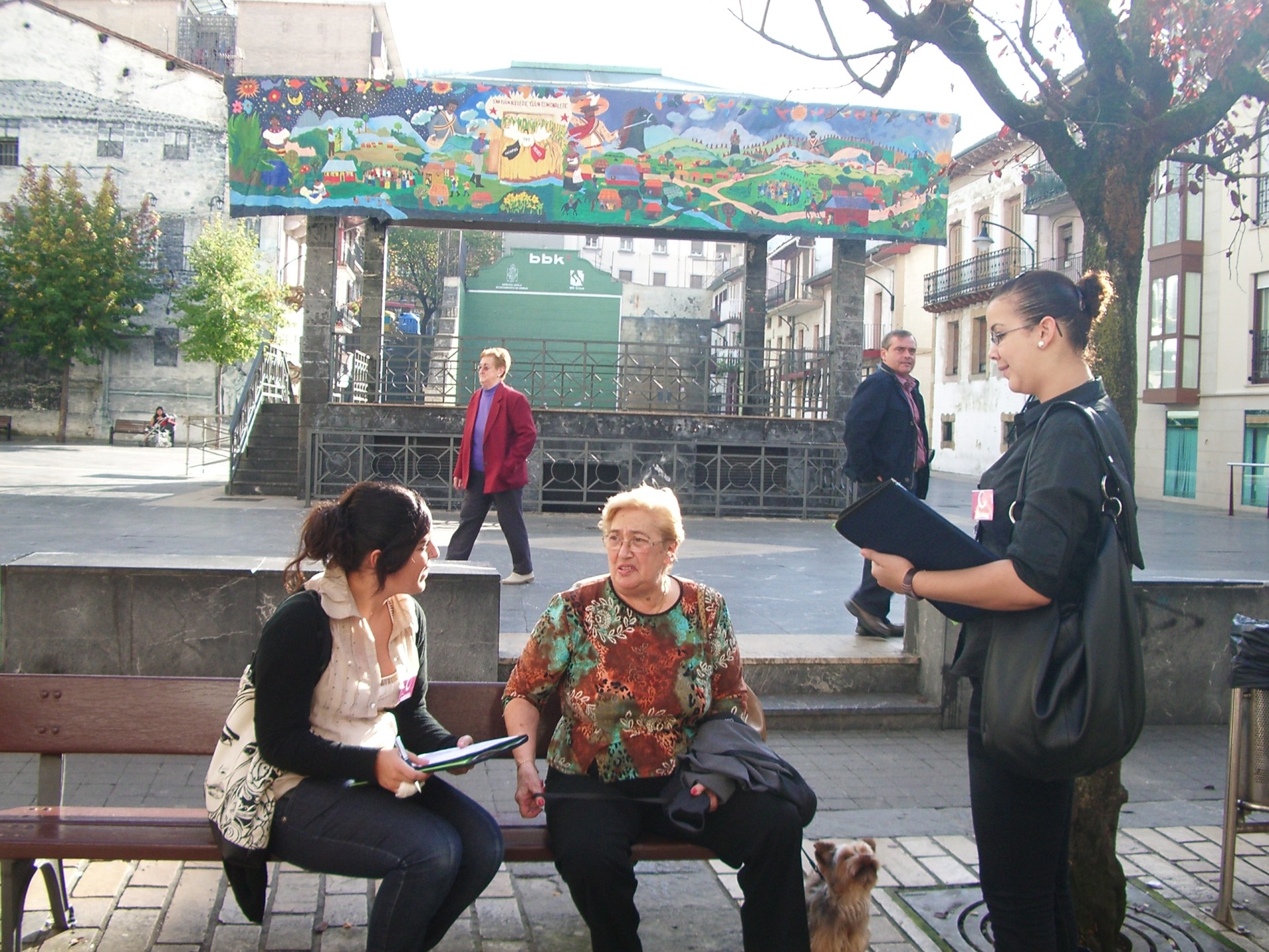 Encuestas sobre Comercio Ermua 2009