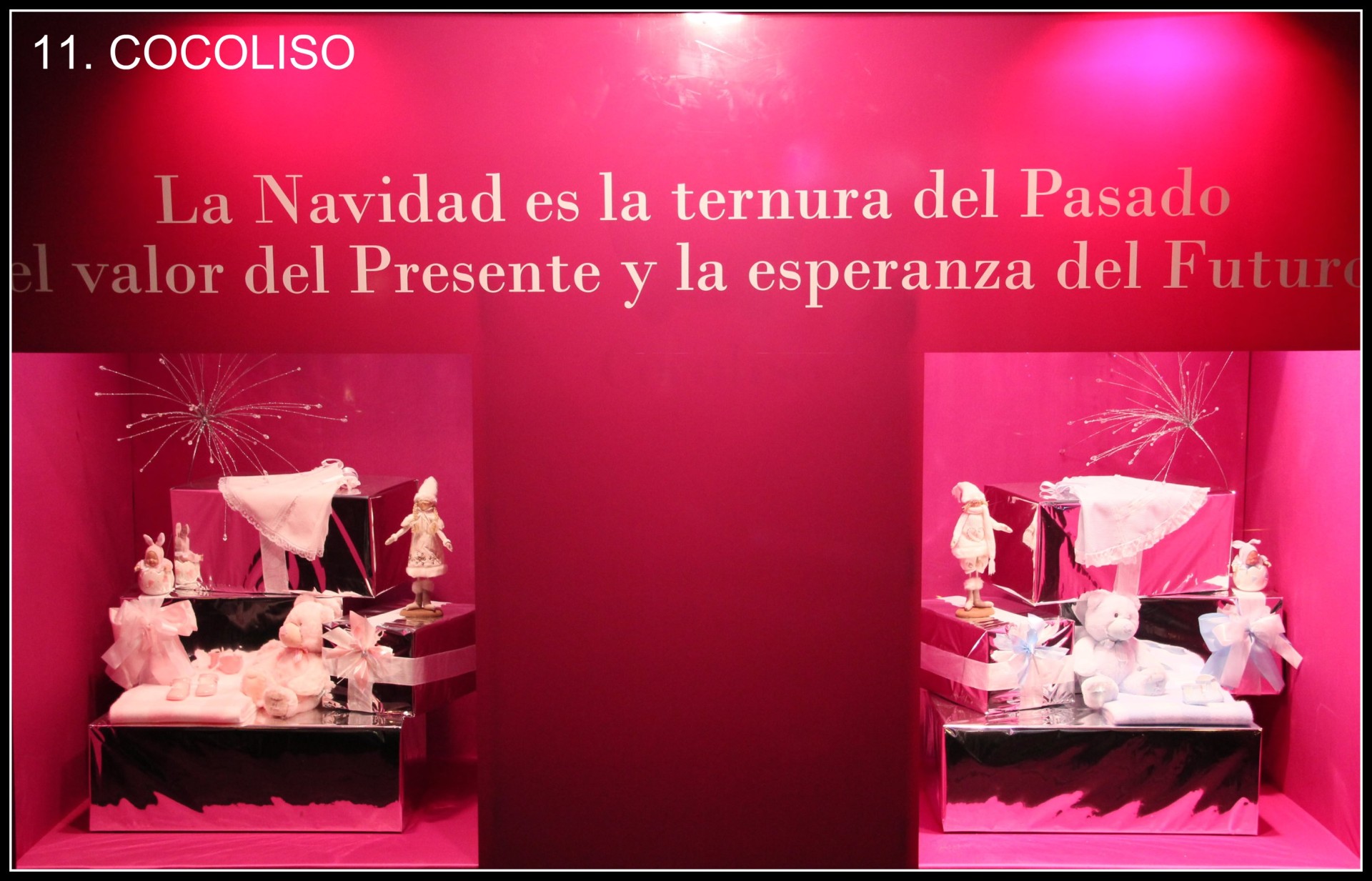 Escaparate de Cocoliso