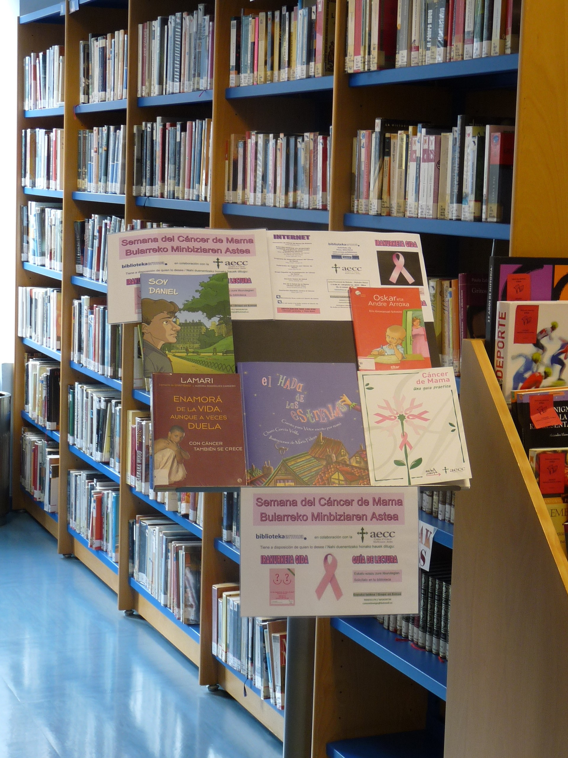 Expositor destacado de la biblioteca municipal de Ermua