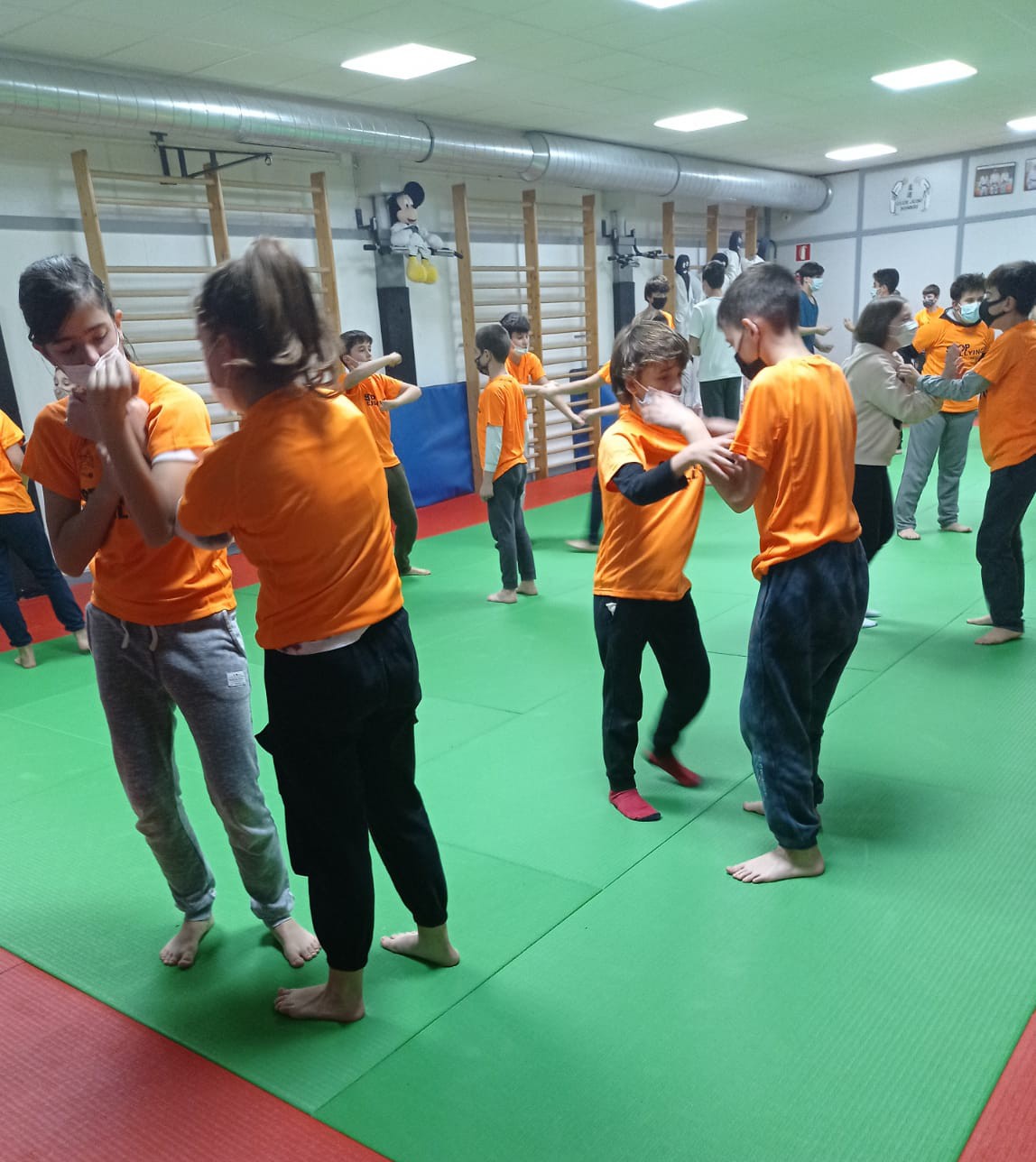 Formación antibullying