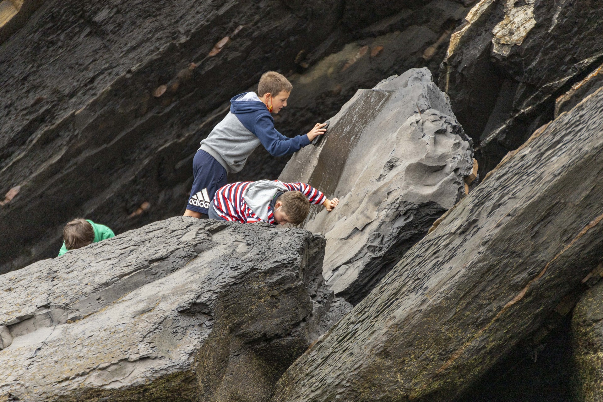 Ikasleak bilketa lanetan