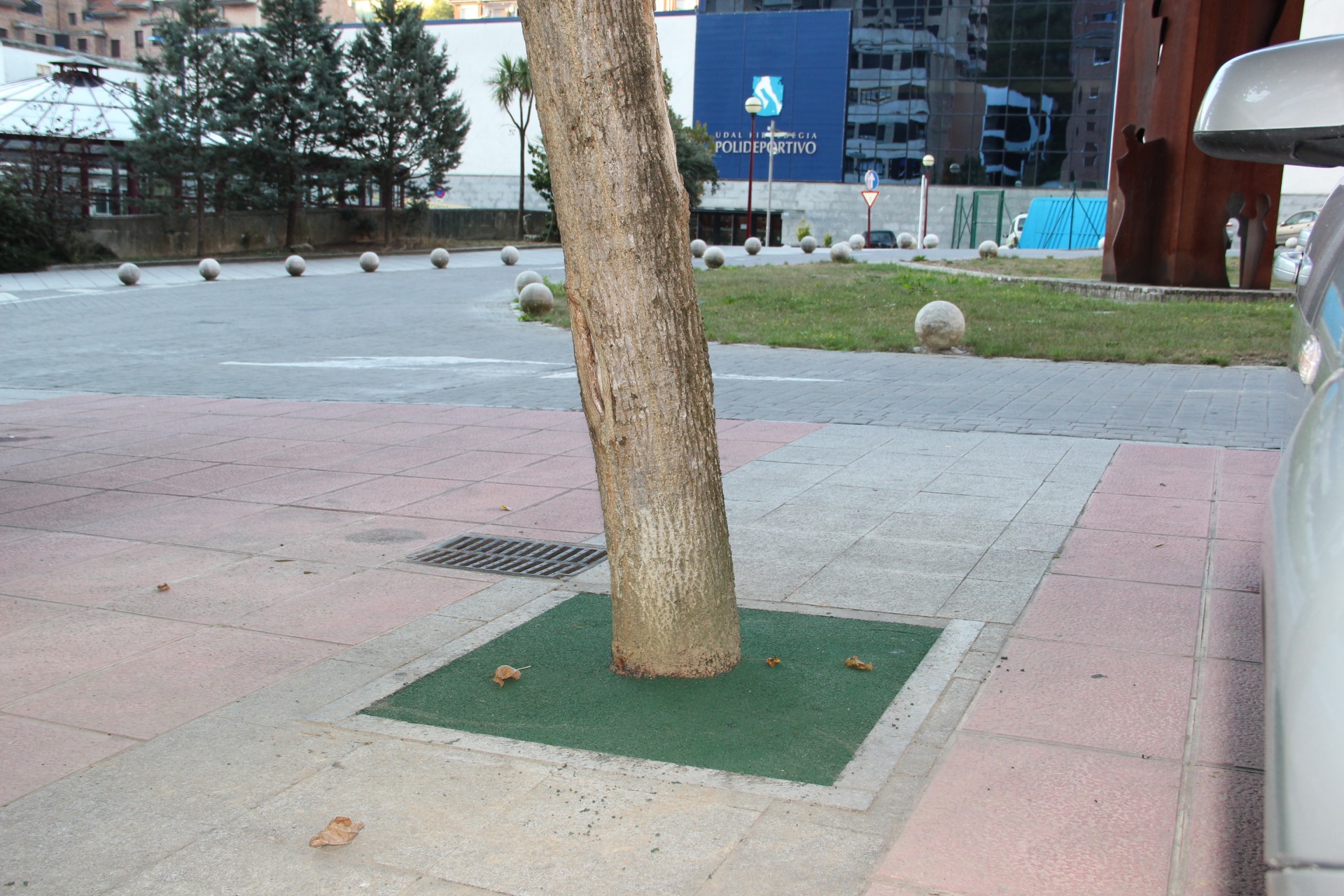 Labores de sustitución de los alcorques de la calee San Pelayo de Ermua