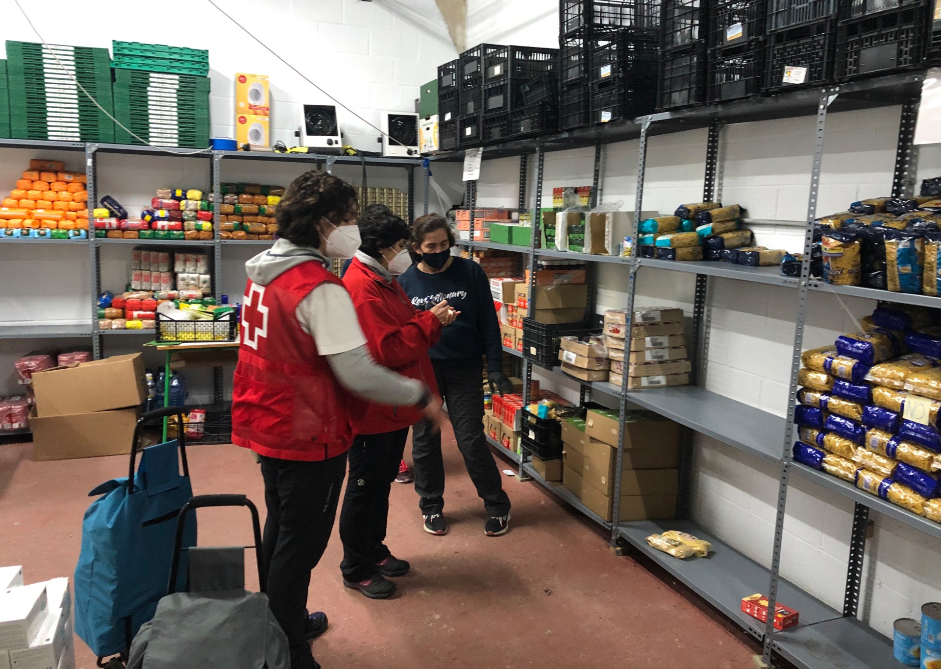 Recuento e inventario del género