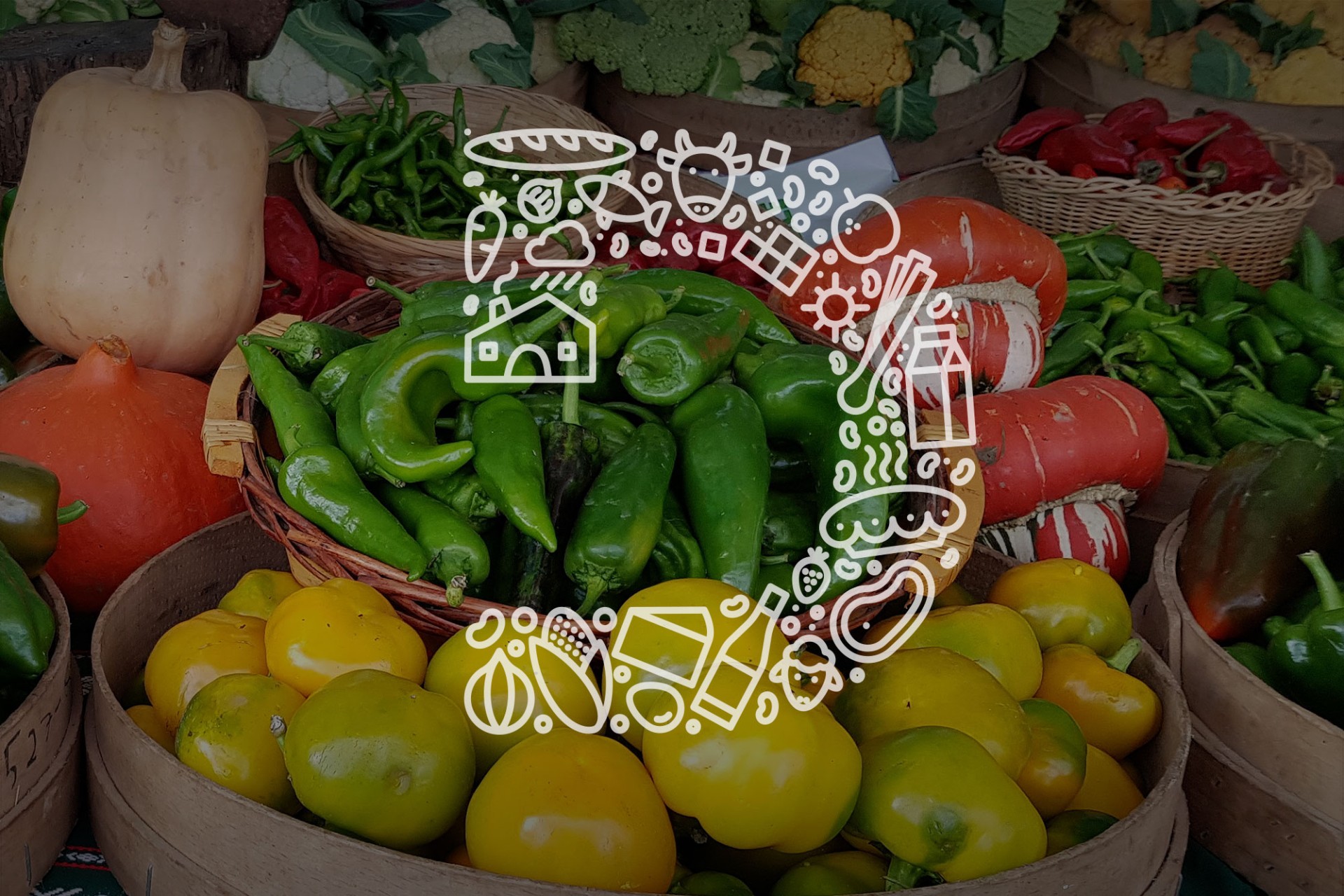 Una foto promocional de la web