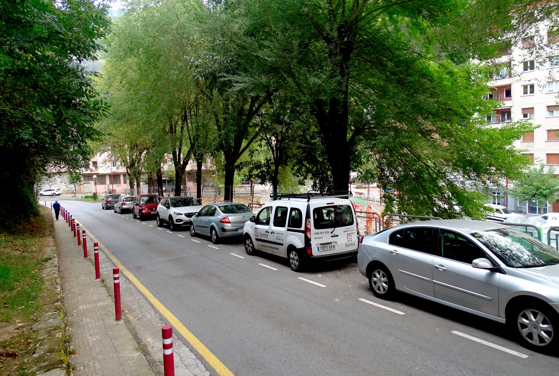 Vista de los árboles desde arriba