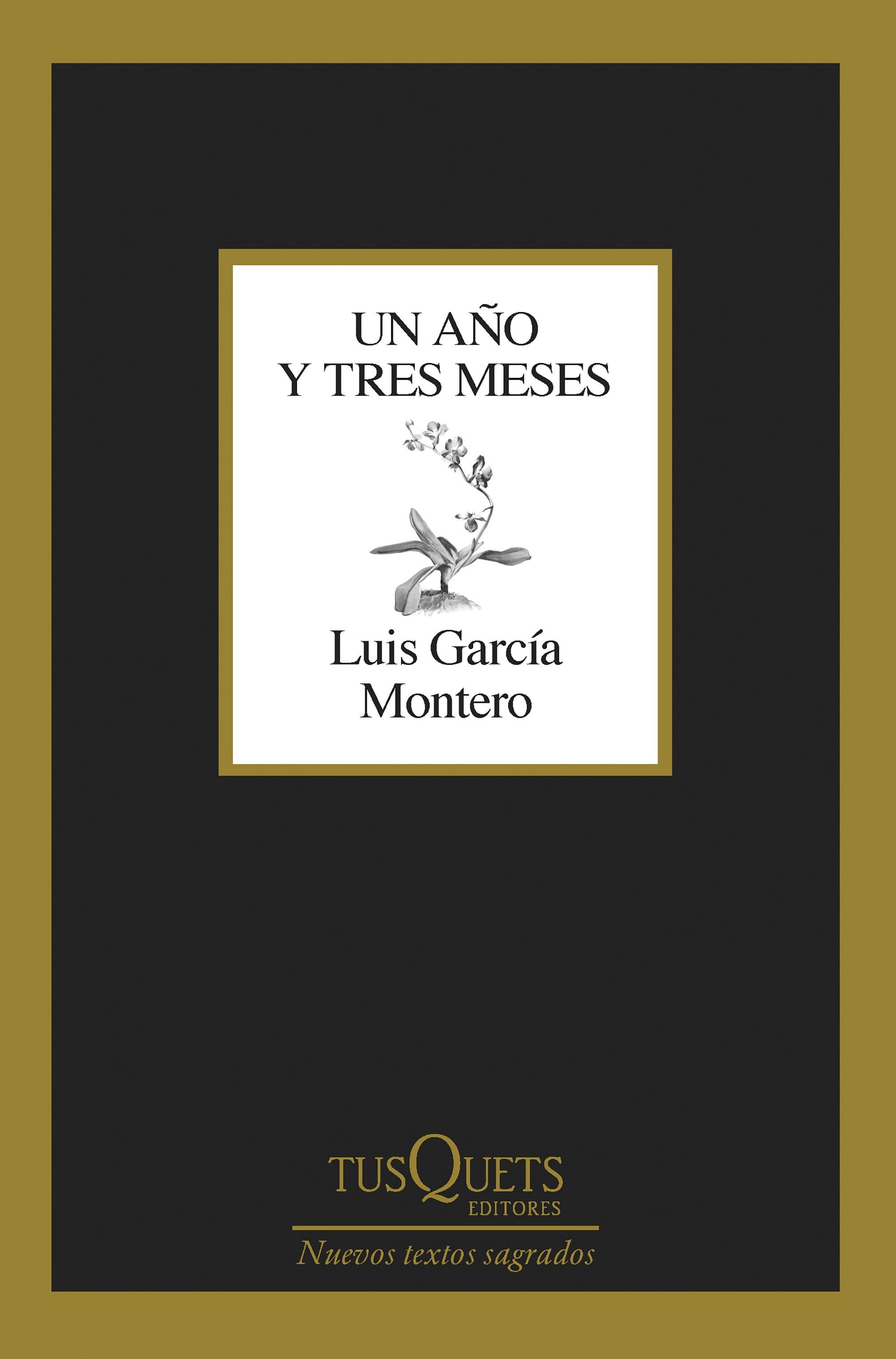Año_Meses_Portada