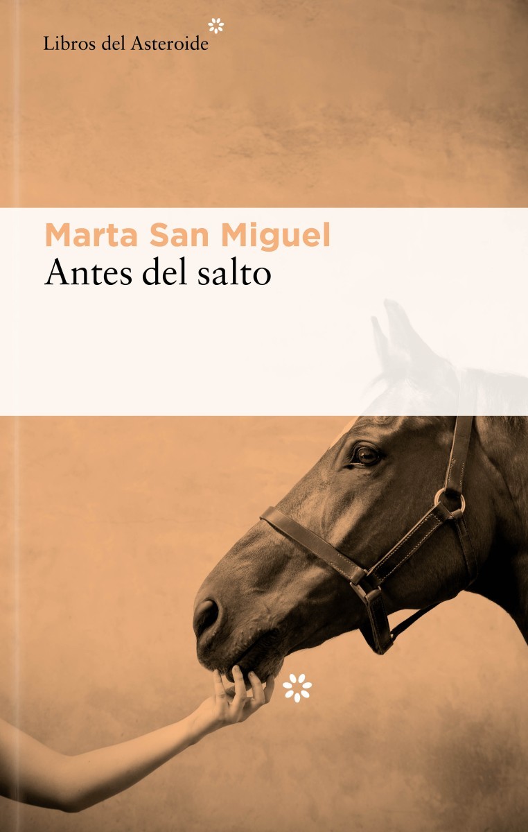 AntesSalto_Layer