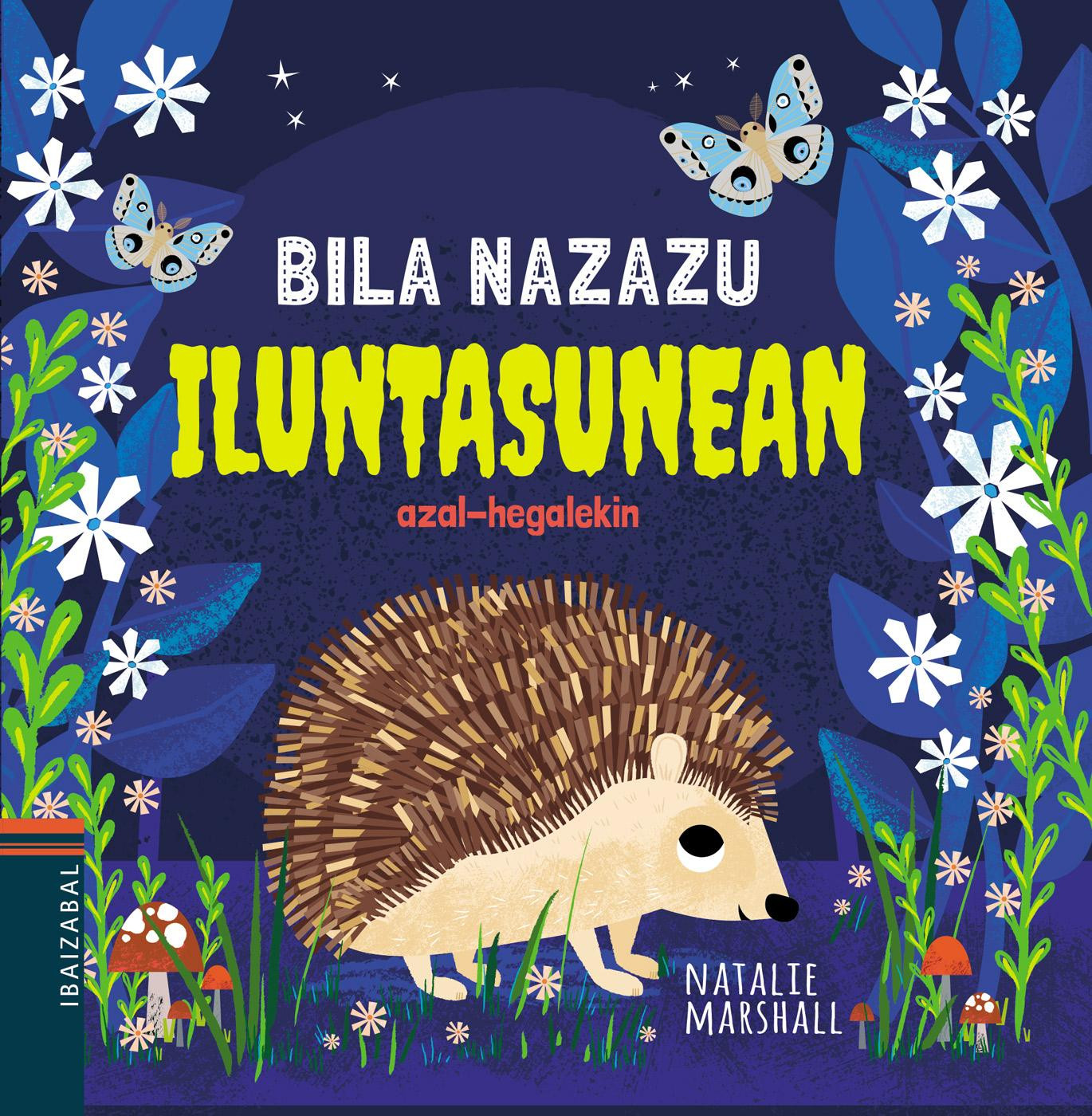 Iluntasunean haur liburuaren azala