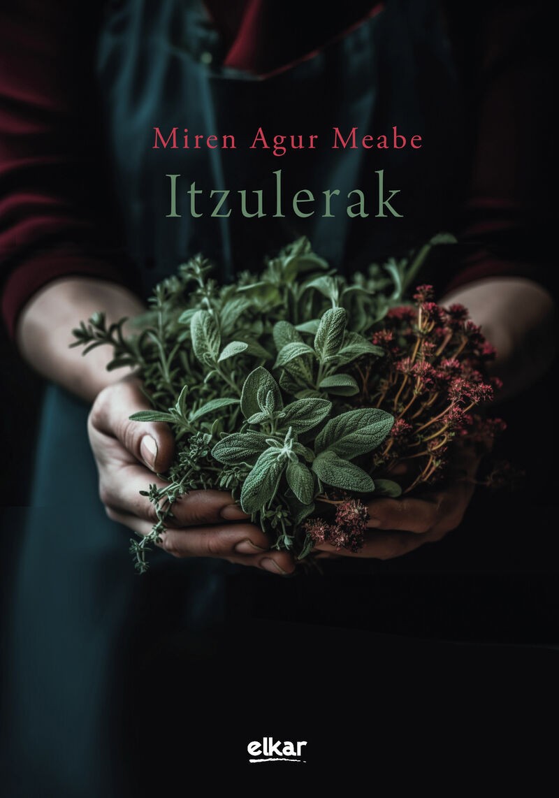 Portada del libro Itzulerak