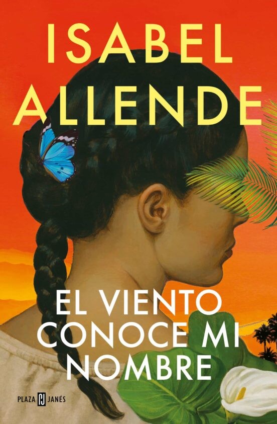 Viento_Layer